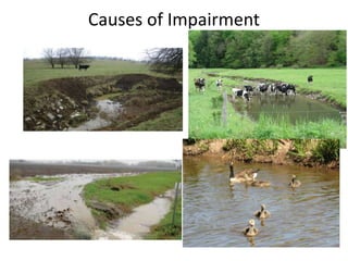 Causes of Impairment