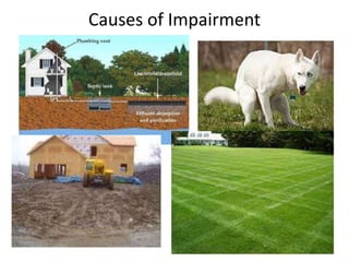 Causes of Impairment