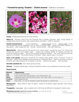* Farewell-to-spring / Godetia – Clarkia amoena

(KLAR-kee-uh am-oh-EN-uh )

Family: Onagraceae (Evening Primrose Family)
Northern coast from San Francisco Bay to British Columbia; open, drying places, in
coastal scrub, prairies and dry open coastal slopes and bluffs < 2000 ft. elevation.

Native to:

annual wildflower
mature height: 2-3 ft.
mature width: 2-3 ft.
Spring-blooming annual wildflower with an open, branched habit. Leaves and stems medium to
blue-green – often tinged with red – smooth. Leaves simple. Dies after flowering.

Growth characteristics:

Blooms spring into summer in its native range – usually Apr-June in S. CA but may
extend into summer with garden water.
Flowers are amazing shades of magenta and pink on
wand-like flowering stalks. One of the showiest California Clarkias. For vivid, intense pinks this
species is unrivalled – like Purple Clarkia on steriods! Bloom season lasts 2-3 months.

Blooms/fruits:

Uses in the garden: Must-have annual for the Cottage Style garden, where it thrives in mid- to
back-bed. Lovely along walkways and charming as a container plant. Makes a stunning cut flower.
Combine with native grasses for a meadow or prairie. Good for dry places. Will naturalize.

Sensible substitute for: Non-native spring annuals.
Attracts: Excellent habitat plant: attracts butterflies & other insect pollinators & birds love seeds.
Requirements:
Element
Sun
Soil
Water
Fertilizer
Other

Requirement

Full sun to part shade.
Likes sandy soils but will grow in any local texture, pH.
Adequate water until flowering wanes; then taper water to none (Zone 1)
Not needed but OK
No mulch – or use an inorganic mulch like gravel or crushed rock.

Management:

Allow seeds to ripen on plants. Collect or let plants reseed naturally; then remove

dead stalks.

Propagation: from seed: easy in garden site in fall (may be difficult to transplant); barely cover.
Plant/seed sources (see list for source numbers): 1, 5, 8, 10, 13, 19
* Native to CA but not to Western L.A. Co.

5/1/11
© Project SOUND

 
