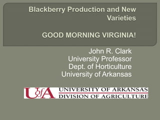 Blackberry Production and New VarietiesGOOD MORNING VIRGINIA! John R. Clark University Professor Dept. of Horticulture University of Arkansas 