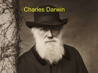 Charles Darwin
 