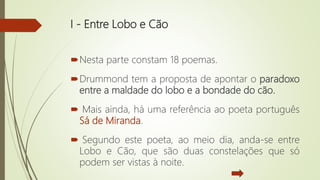 I - Entre Lobo e Cão
Nesta parte constam 18 poemas.
Drummond tem a proposta de apontar o paradoxo
entre a maldade do lobo e a bondade do cão.
 Mais ainda, há uma referência ao poeta português
Sá de Miranda.
 Segundo este poeta, ao meio dia, anda-se entre
Lobo e Cão, que são duas constelações que só
podem ser vistas à noite.
 