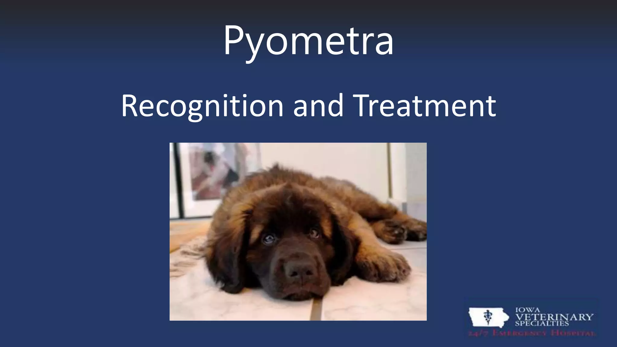 Pyometra PPT