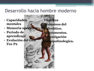 Desarrollo hacia hombre moderno
• Capacidades
mentales
• Memoria operativa
• Periodo de
aprendizaje
• Evolución del Gen
Fox P2
• Destreza
• Humanos del
• paleolítico.
• Instrumentos.
• Investigación
paleopalinologica.
 