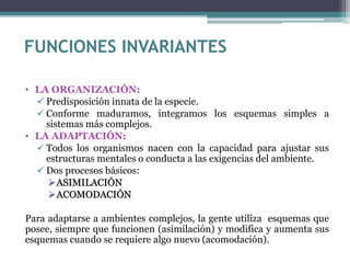 FUNCIONES INVARIANTES
• LA ORGANIZACIÓN:
 Predisposición innata de la especie.
 Conforme maduramos, integramos los esquemas simples a
sistemas más complejos.
• LA ADAPTACIÓN:
 Todos los organismos nacen con la capacidad para ajustar sus
estructuras mentales o conducta a las exigencias del ambiente.
 Dos procesos básicos:
ASIMILACIÓN
ACOMODACIÓN
Para adaptarse a ambientes complejos, la gente utiliza esquemas que
posee, siempre que funcionen (asimilación) y modifica y aumenta sus
esquemas cuando se requiere algo nuevo (acomodación).
 