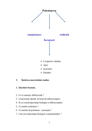 5
Polenizarea
Autopolenizare Artificială
Încrucişată
 Cu ajutorul vântului;
 Apei;
 Insectelor;
 Păsărilor.
V. Întărirea materialului studiat.
1. Întrebări frontale.
2. Ce se numeşte infloriscenţă ?
3. Caracterizaţi tipurile de bază ale infloriscenţelor.
4. În ce constă importanţa biologică a infloriscenţelor.
5. Ce numim polenizare ?
6. Ce metode de polenizare cunoaşteţi ?
7. Care este importanţa biologică a autopolenizării ?
 