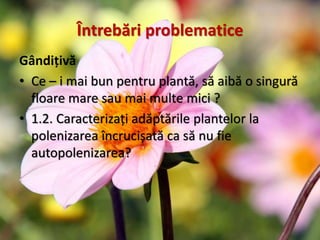 Întrebări problematice
Gândițivă
• Ce – i mai bun pentru plantă, să aibă o singură
floare mare sau mai multe mici ?
• 1.2. Caracterizați adăptările plantelor la
polenizarea încrucișată ca să nu fie
autopolenizarea?
 