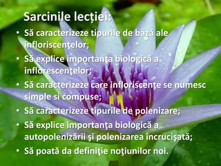Sarcinile lecției:
• Să caracterizeze tipurile de bază ale
infloriscenţelor;
• Să explice importanţa biologică a
inflorescenţelor;
• Să caracterizeze care infloriscenţe se numesc
simple si compuse;
• Să caracterizeze tipurile de polenizare;
• Să explice importanţa biologică a
autopolenizării şi polenizarea încrucişată;
• Să poată da definiţie noţiunilor noi.
 