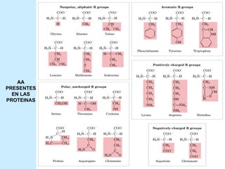 AA
PRESENTES
  EN LAS
PROTEINAS
 