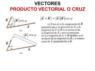 VECTORES
PRODUCTO VECTORIAL O CRUZ
 