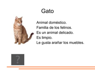 Tiene cuerpo pesado y redondeado. 