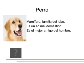 Hocico largo y flexible. 