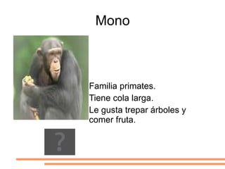 Patas cortas con pezuñas (cuatro dedos) y una cola corta.  