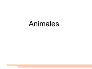 Animales  