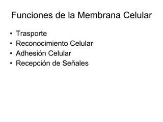 Funciones de la Membrana Celular Trasporte  Reconocimiento Celular Adhesión Celular Recepción de Señales  