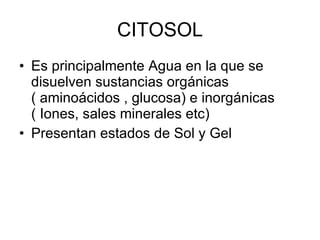 CITOSOL Es principalmente Agua en la que se disuelven sustancias orgánicas ( aminoácidos , glucosa) e inorgánicas ( Iones, sales minerales etc)  Presentan estados de Sol y Gel  