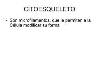 CITOESQUELETO Son microfilamentos, que le permiten a la Célula modificar su forma  