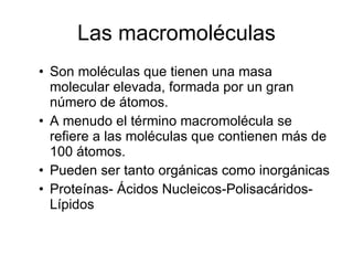 Las macromoléculas Son moléculas que tienen una masa molecular elevada, formada por un gran número de átomos.  A menudo el término macromolécula se refiere a las moléculas que contienen más de 100 átomos.  Pueden ser tanto orgánicas como inorgánicas Proteínas- Ácidos Nucleicos-Polisacáridos- Lípidos 