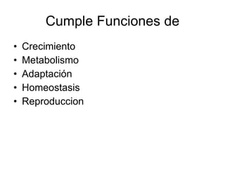 Cumple Funciones de Crecimiento Metabolismo Adaptación Homeostasis  Reproduccion 
