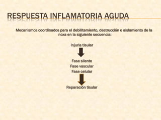 RESPUESTA INFLAMATORIA AGUDA
 Mecanismos coordinados para el debilitamiento, destrucción o aislamiento de la
                       noxa en la siguiente secuencia:

                                Injuria tisular


                                 Fase silente
                                Fase vascular
                                 Fase celular


                             Reparación tisular
 