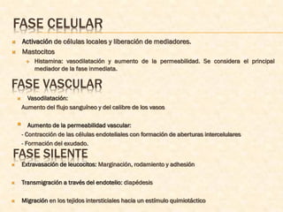 FASE CELULAR
       Activación de células locales y liberación de mediadores.
       Mastocitos
            Histamina: vasodilatación y aumento de la permeabilidad. Se considera el principal
             mediador de la fase inmediata.

FASE VASCULAR
         Vasodilatación:
        Aumento del flujo sanguíneo y del calibre de los vasos

          Aumento de la permeabilidad vascular:
        - Contracción de las células endoteliales con formación de aberturas intercelulares
        - Formación del exudado.
FASE SILENTE
       Extravasación de leucocitos: Marginación, rodamiento y adhesión

       Transmigración a través del endotelio: diapédesis

       Migración en los tejidos intersticiales hacia un estímulo quimiotáctico
 