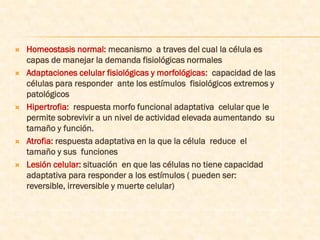    Homeostasis normal: mecanismo a traves del cual la célula es
    capas de manejar la demanda fisiológicas normales
   Adaptaciones celular fisiológicas y morfológicas: capacidad de las
    células para responder ante los estímulos fisiológicos extremos y
    patológicos
   Hipertrofia: respuesta morfo funcional adaptativa celular que le
    permite sobrevivir a un nivel de actividad elevada aumentando su
    tamaño y función.
   Atrofia: respuesta adaptativa en la que la célula reduce el
    tamaño y sus funciones
   Lesión celular: situación en que las células no tiene capacidad
    adaptativa para responder a los estímulos ( pueden ser:
    reversible, irreversible y muerte celular)
 