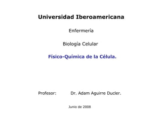Profesor: Dr. Adam Aguirre Ducler.   Junio de 2008 Físico-Química de la Célula. Universidad Iberoamericana Enfermería Biología Celular  