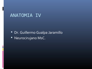 ANATOMIA IV
 Dr. Guillermo Gualpa Jaramillo
 Neurocirujano MsC.
 