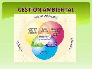 GESTION AMBIENTAL
 