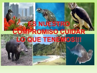 ES NUESTRO
COMPROMISO CUIDAR
LO QUE TENEMOS!!!
 