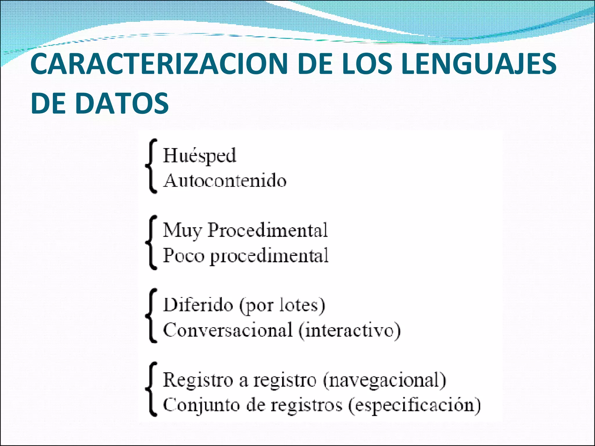 CARACTERIZACION DE LOS LENGUAJES DE DATOS 