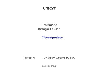 Profesor: Dr. Adam Aguirre Ducler.   Junio de 2008. Citoesqueleto. UNICYT Enfermería Biología Celular  