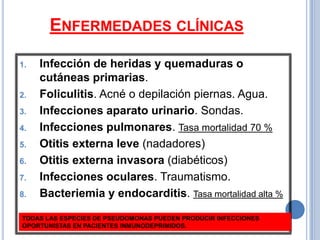 ENFERMEDADES CLÍNICAS

1.   Infección de heridas y quemaduras o
     cutáneas primarias.
2.   Foliculitis. Acné o depilación piernas. Agua.
3.   Infecciones aparato urinario. Sondas.
4.   Infecciones pulmonares. Tasa mortalidad 70 %
5.   Otitis externa leve (nadadores)
6.   Otitis externa invasora (diabéticos)
7.   Infecciones oculares. Traumatismo.
8.   Bacteriemia y endocarditis. Tasa mortalidad alta %

TODAS LAS ESPECIES DE PSEUDOMONAS PUEDEN PRODUCIR INFECCIONES
OPORTUNISTAS EN PACIENTES INMUNODEPRIMIDOS.
 
