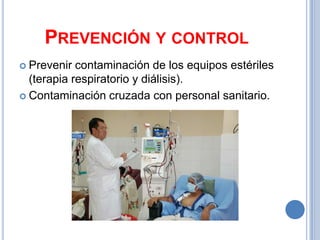 PREVENCIÓN Y CONTROL
 Prevenir  contaminación de los equipos estériles
  (terapia respiratorio y diálisis).
 Contaminación cruzada con personal sanitario.
 