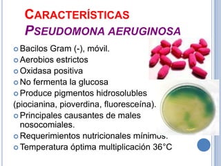 CARACTERÍSTICAS
  PSEUDOMONA AERUGINOSA
 Bacilos Gram (-), móvil.
 Aerobios estrictos
 Oxidasa positiva
 No fermenta la glucosa
 Produce pigmentos hidrosolubles
(piocianina, pioverdina, fluoresceína).
 Principales causantes de males
  nosocomiales.
 Requerimientos nutricionales mínimos.
 Temperatura óptima multiplicación 36°C
 