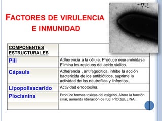 FACTORES DE VIRULENCIA
          E INMUNIDAD

COMPONENTES
ESTRUCTURALES
Pili               Adherencia a la célula. Produce neuraminidasa
                   Elimina los residuos del acido sialico.
Cápsula            Adherencia , antifagocítica, inhibe la acción
                   bactericida de los antibióticos, suprime la
                   actividad de los neutrofilos y linfocitos..
Lipopolisacarido   Actividad endotoxina.

Piocianina         Produce formas toxicas del oxigeno. Altera la función
                   ciliar, aumenta liberación de IL8. PIOQUELINA.
 