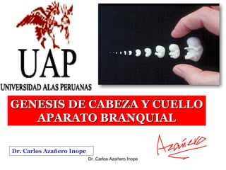 GENESIS DE CABEZA Y CUELLO
   APARATO BRANQUIAL

Dr. Carlos Azañero Inope
                           Dr. Carlos Azañero Inope