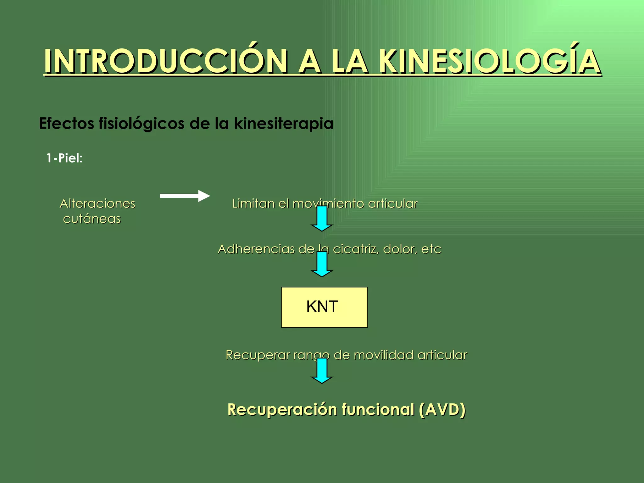 Efectos fisiológicos de la kinesiterapia 1-Piel:  Alteraciones  Limitan el movimiento articular cutáneas    Adherencias de la cicatriz, dolor, etc Recuperar rango de movilidad articular Recuperación funcional (AVD) INTRODUCCIÓN A LA KINESIOLOGÍA KNT  