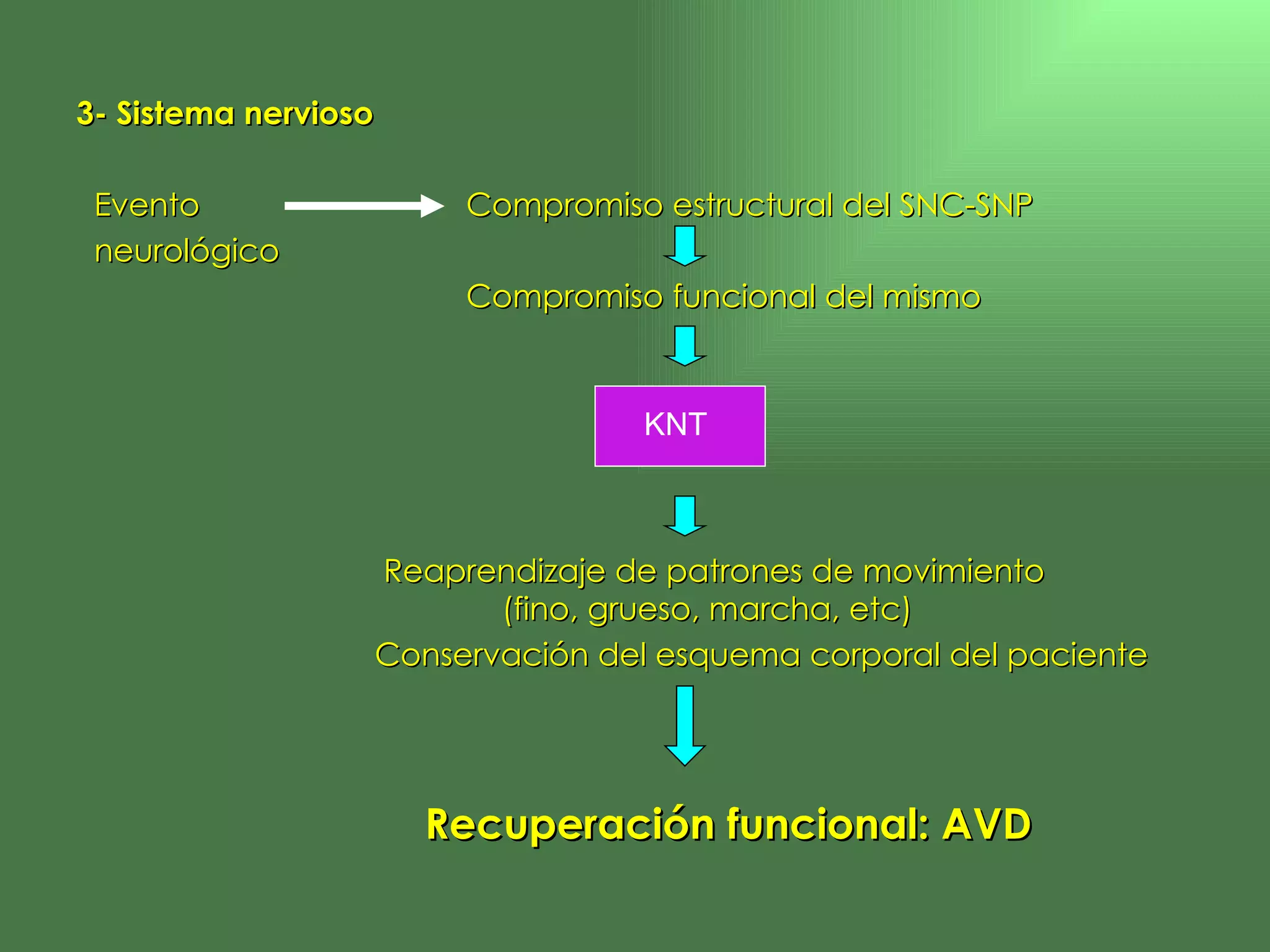 3- Sistema nervioso   Evento     Compromiso estructural del SNC-SNP neurológico   Compromiso funcional del mismo   Reaprendizaje de patrones de movimiento      (fino, grueso, marcha, etc)   Conservación del esquema corporal del paciente   Recuperación funcional: AVD KNT   
