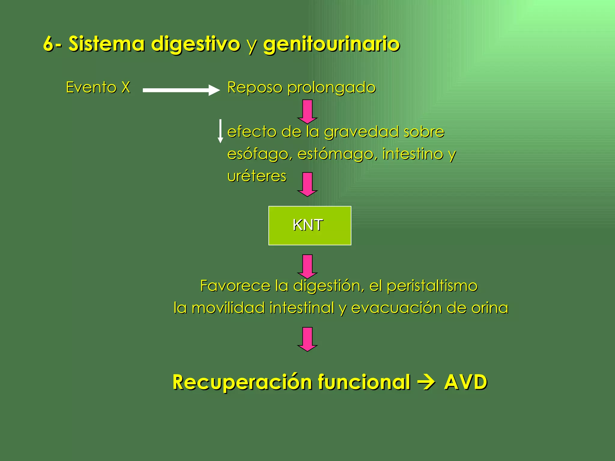 6- Sistema digestivo  y  genitourinario Evento X Reposo prolongado   efecto de la gravedad sobre  esófago, estómago, intestino y  uréteres Favorece la digestión, el peristaltismo  la movilidad intestinal y evacuación de orina Recuperación funcional    AVD KNT   