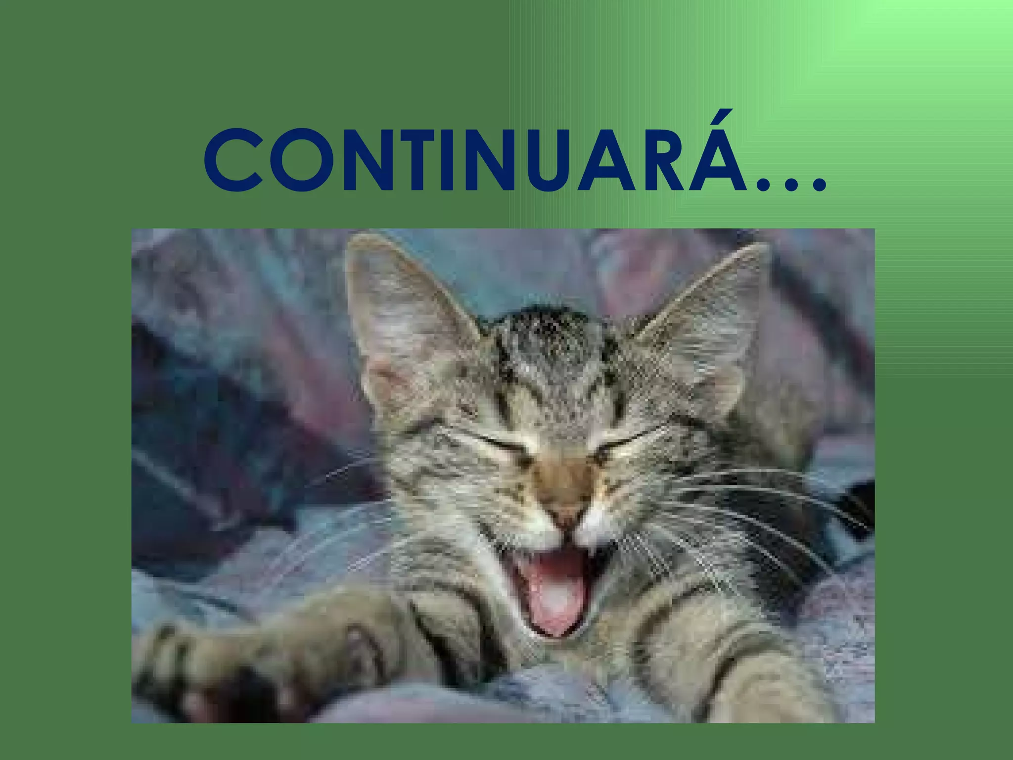 CONTINUARÁ… 