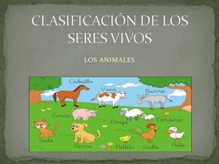 CLASIFICACIÓN DE LOS SERES VIVOS LOS ANIMALES 
