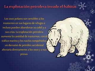 Los osos polares son sensibles a los 
trastornos en sus lugares de refugio e 
incluso pueden abandonar su cubil y a 
sus crías. La explotación petrolera 
aumenta la cantidad de trastornos, con el 
tráfico marino y los navíos rompehielos; 
un derrame de petróleo accidental 
afectaría directamente a los osos y a sus 
presas. 
 