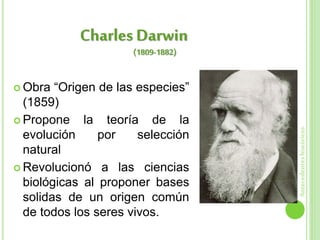  Obra “Origen de las especies”
(1859)
 Propone la teoría de la
evolución por selección
natural
 Revolucionó a las ciencias
biológicas al proponer bases
solidas de un origen común
de todos los seres vivos.
Charles Darwin
Antecedenteshistóricos
(1809-1882)
 