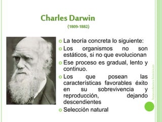  La teoría concreta lo siguiente:
 Los organismos no son
estáticos, si no que evolucionan
 Ese proceso es gradual, lento y
continuo.
 Los que posean las
características favorables éxito
en su sobrevivencia y
reproducción, dejando
descendientes
 Selección natural
Charles Darwin
Antecedenteshistóricos
(1809-1882)
 