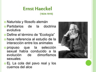  Naturista y filosofo alemán
 Partidarios de la doctrina
evolutiva
 Define el término de “Ecología”
 hace referencia al estudio de la
interacción entre los animales
 propuso que la selección
sexual había conducido a la
evolución de dimorfismos
sexuales
 Ej. La cola del pavo real y los
cuernos del alce
Ernst Haeckel
Antecedenteshistóricos
(1834-1919)
 