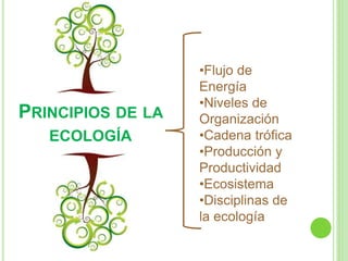 PRINCIPIOS DE LA
ECOLOGÍA
•Flujo de
Energía
•Niveles de
Organización
•Cadena trófica
•Producción y
Productividad
•Ecosistema
•Disciplinas de
la ecología
 