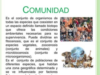 COMUNIDAD
Es el conjunto de organismos de
todas las especies que coexisten en
un espacio definido llamado biotopo
que ofrece las condiciones
ambientales necesarias para su
supervivencia. Puede dividirse en
fitocenosis, que es el conjunto de
especies vegetales, zoocenosis
(conjunto de animales) y
microbiocenosis (conjunto de
microorganismos).
Es el conjunto de poblaciones de
diferentes especies, que habitan
una zona geográfica determinada y
se ve influenciada por factores
 