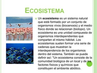 ECOSISTEMA
 Un ecosistema es un sistema natural
que está formado por un conjunto de
organismos vivos (biocenosis) y el medio
físico donde se relacionan (biotopo). Un
ecosistema es una unidad compuesta de
organismos interdependientes que
comparten el mismo hábitat. Los
ecosistemas suelen formar una serie de
cadenas que muestran la
interdependencia de los organismos
dentro del sistema. También se puede
definir así: "Un ecosistema consiste de la
comunidad biológica de un local y de los
factores físicos y químicos que
constituyen el ambiente abiótico.
 