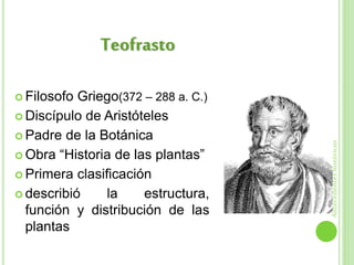 Filosofo Griego(372 – 288 a. C.)
 Discípulo de Aristóteles
 Padre de la Botánica
 Obra “Historia de las plantas”
 Primera clasificación
 describió la estructura,
función y distribución de las
plantas
Teofrasto
Antecedenteshistóricos
 